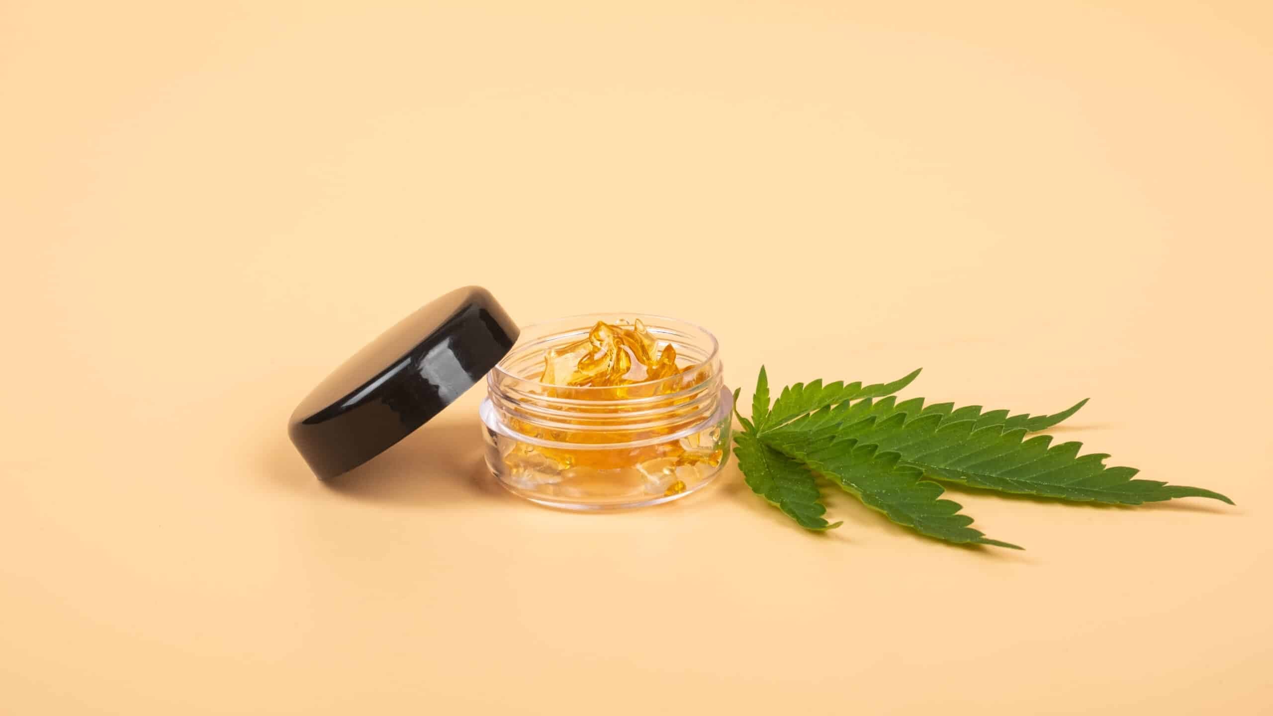 Cannabis concentrates representing cured resin, live resin, and live rosin