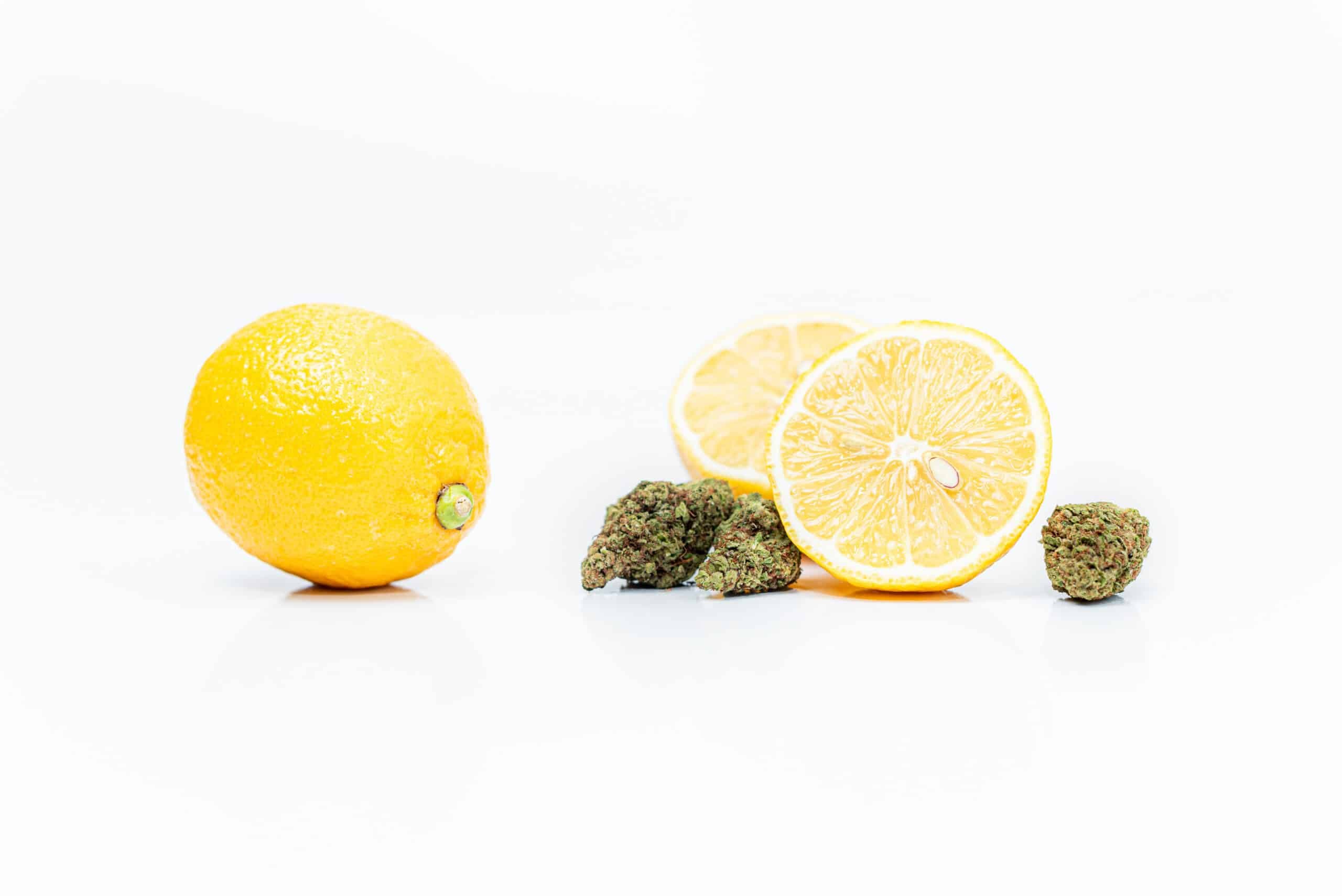 Cannabis flower and aromatic botanicals illustrating terpene profiles